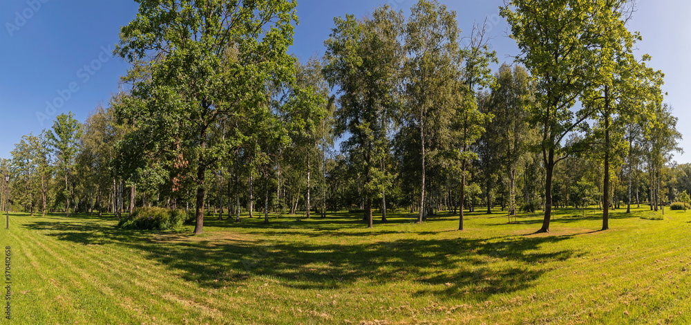 Magnificent landscape of the Park with mown grass and deciduous trees on a beautiful Sunny day.