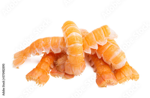boiled lobster isolated