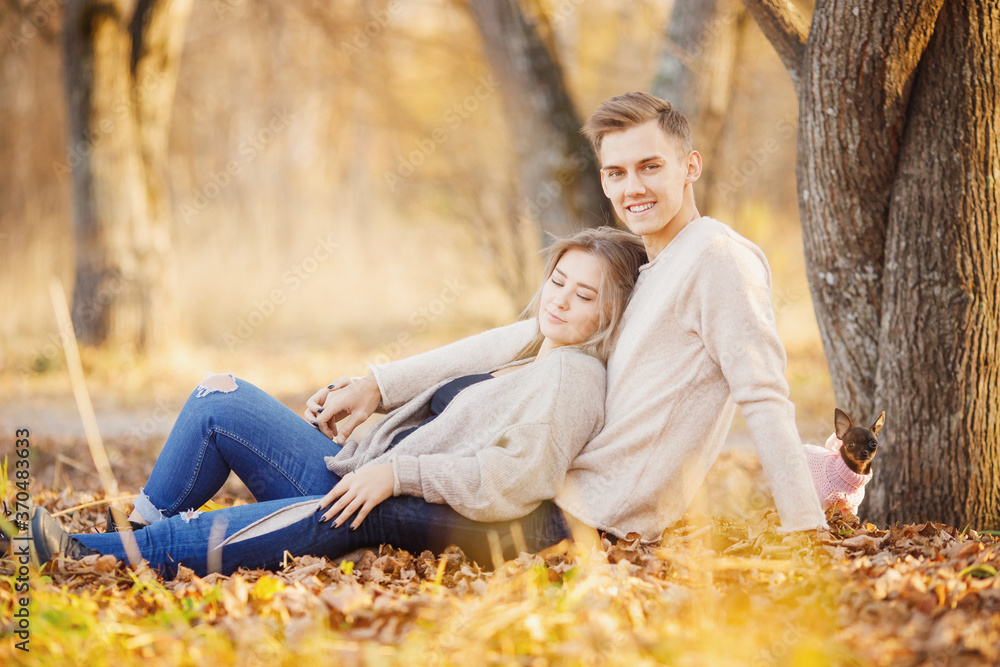 Loving couple is sitting in autumn park with small dog and kissing. Girl holds maple leaves, yellow background Loving couple is sitting in autumn park with small dog and kissing. Girl holds maple leaves, yellow background