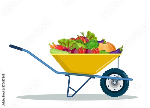 Garden cart with eggplant, tomato, beetroot, zucchini, pepper, cucumber, carrot. Organic farm products. Metal wheelbarrow full of ripe vegetables. Vector illustration in flat style