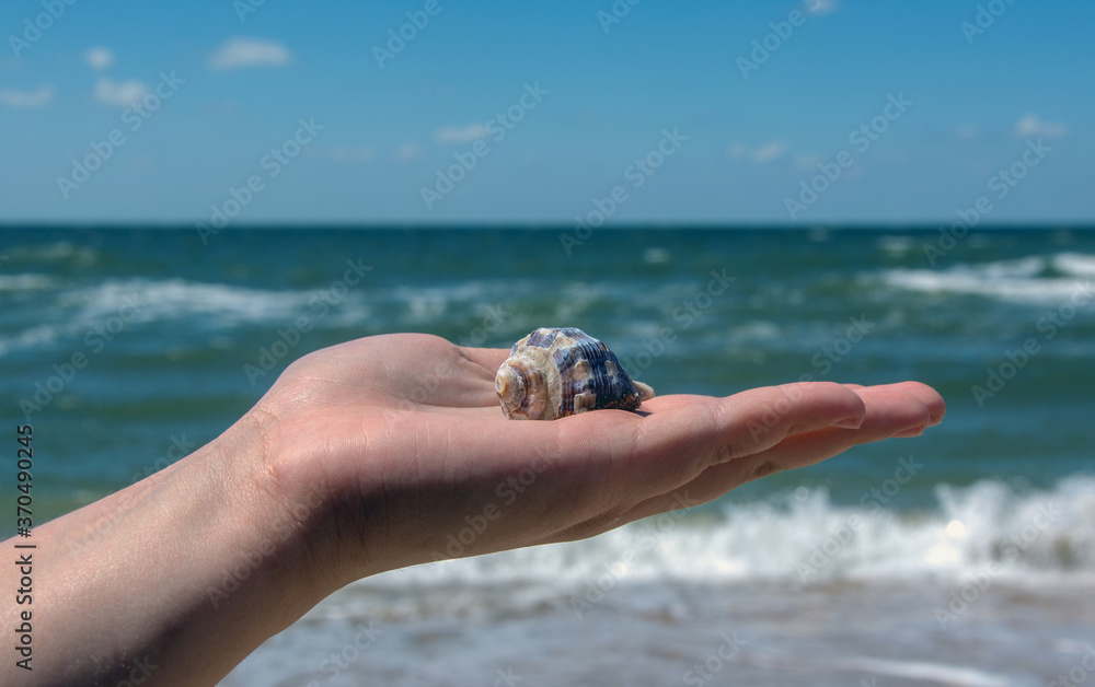 a sea shell lies in the palm of a female against the background of the sea a sea shell lies in the palm of a female against the background of the sea