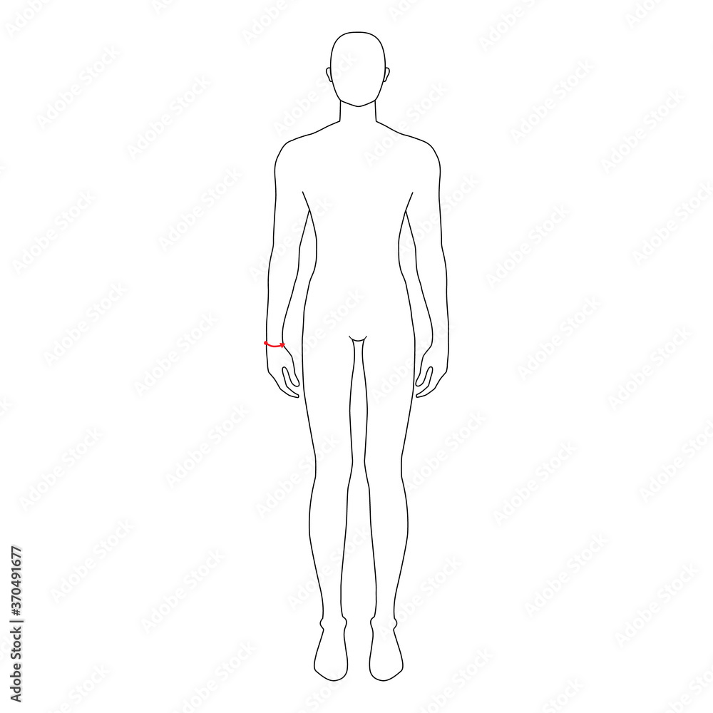 Men to do wrist measurement fashion Illustration for size chart. 7.5 head size boy for site or online shop. Human body infographic template for clothes. Men to do wrist measurement fashion Illustration for size chart. 7.5 head size boy for site or online shop. Human body infographic template for clothes.