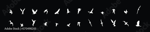 flying bird icon with various models isolated on black