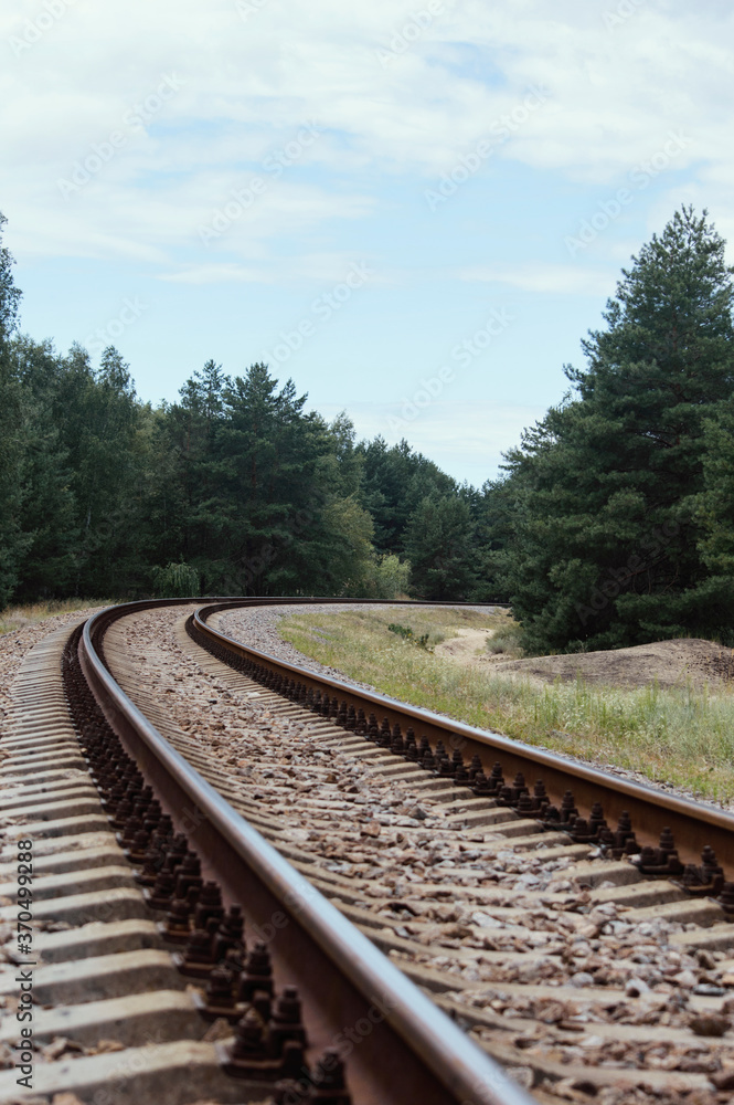 Fototapeta premium The railroad tracks in the forest. Empty rail track surrounded by trees.