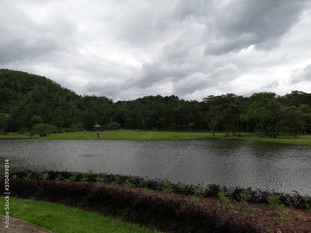Fototapeta premium Seethawaka botanical garden, Avissawella 