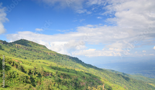 In the summer, the hills are high, with many trees interspersed with green grass and blue sky landscapes with white clouds behind.