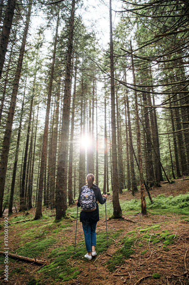 The woman with a backpack is engaged in scandinavian walking in a forest. Back view, vertical shot The woman with a backpack is engaged in scandinavian walking in a forest. Back view, vertical shot