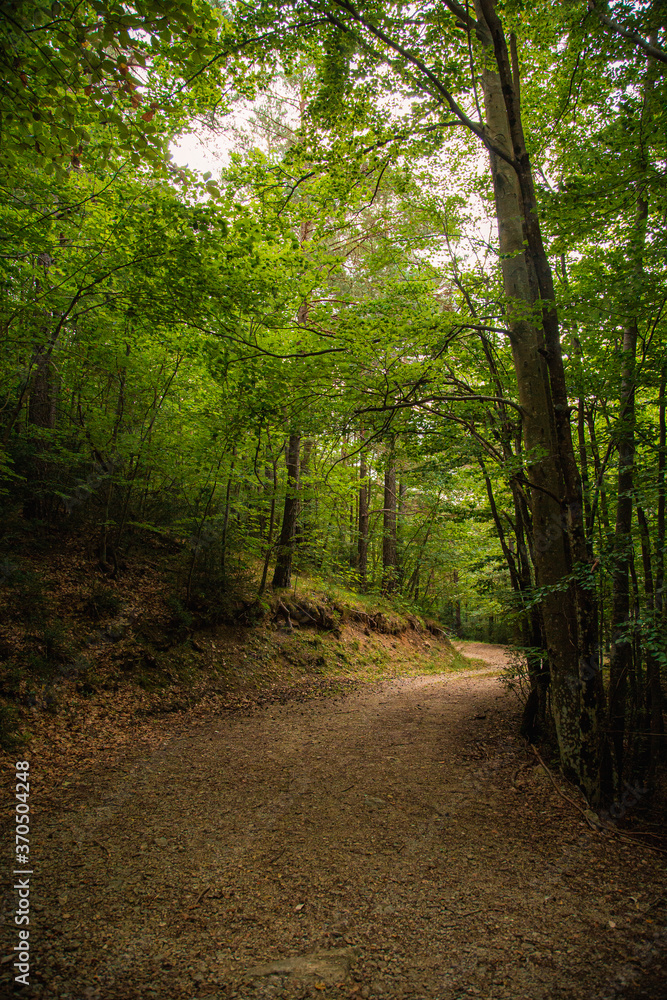 Obraz premium parque natural cadi moixero 