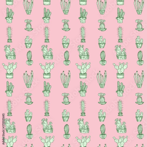 light green cacti on pink. doodle drawing vector