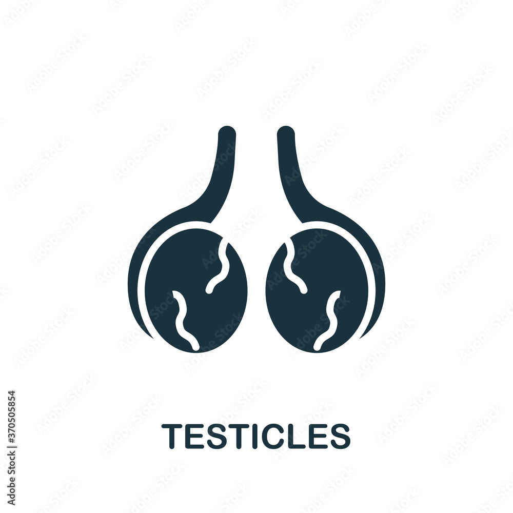 Testicles icon. Simple element from internal organs collection