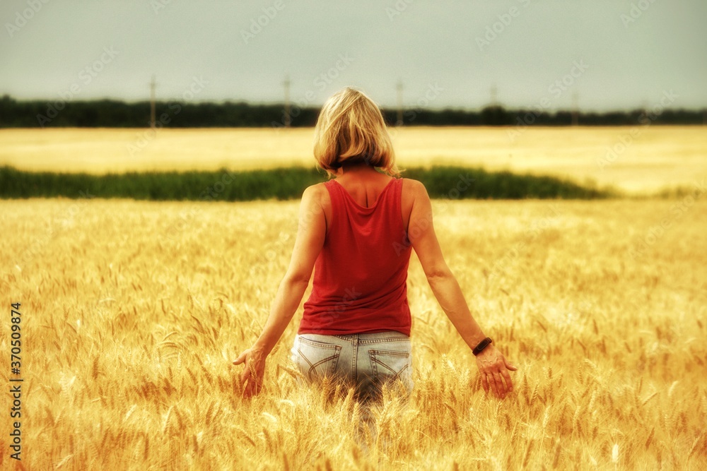 girl in a wheat field girl in a wheat field