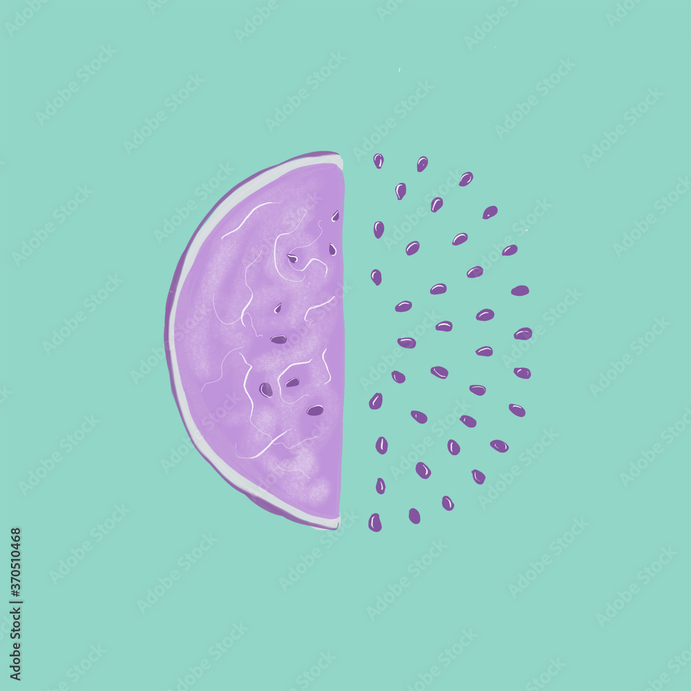 water melon illustration water melon illustration