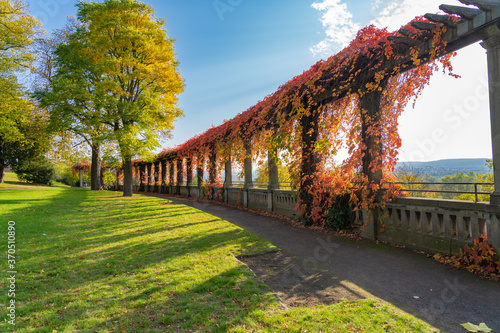 Beautiful garden in autumn colors in Kassel  called vineyard  the gateway to the city  Germany  Kassel  October 13  2019