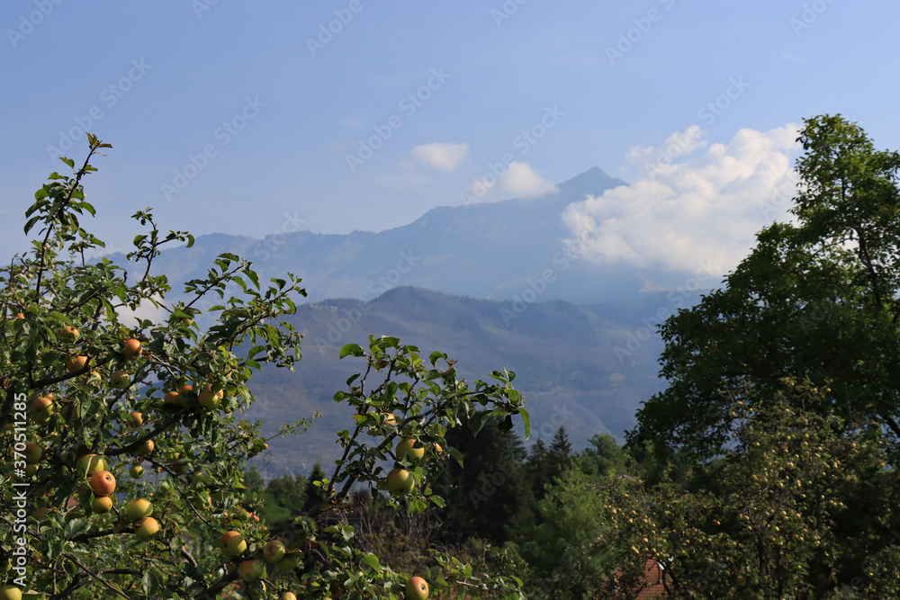 esempio di panorama di montagna con mele in primo piano per varietà mele natura logo bontà luogo 