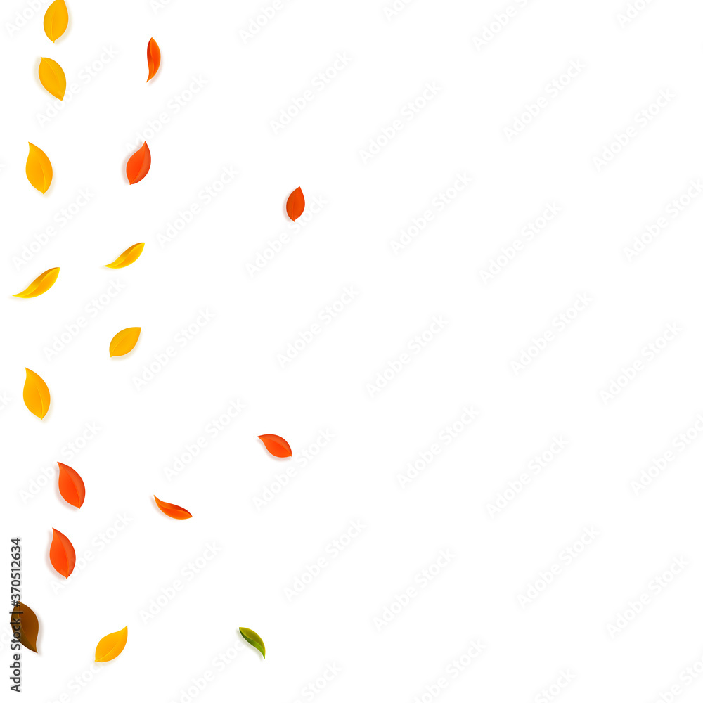 Falling autumn leaves. Red, yellow, green, brown r Falling autumn leaves. Red, yellow, green, brown r