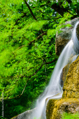 Beautiful waterfall on small river in a park © ihorbondarenko