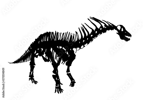 The Skeleton of ancient big dinosaur.
