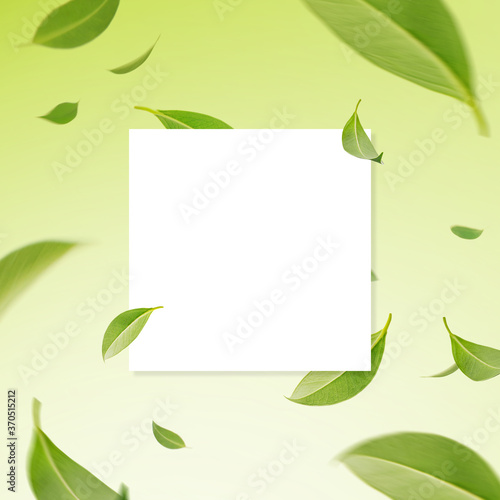 Flying whirl green leaves with copy space mockup template