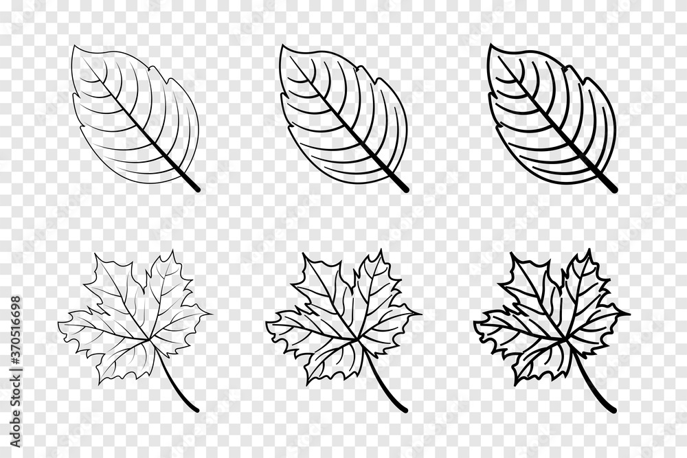 Leaf in line design. Leaves. Autumn leaves in different lines. Leaf vector icons. Vector illustration