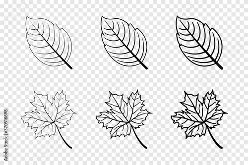 Leaf in line design. Leaves. Autumn leaves in different lines. Leaf vector icons. Vector illustration