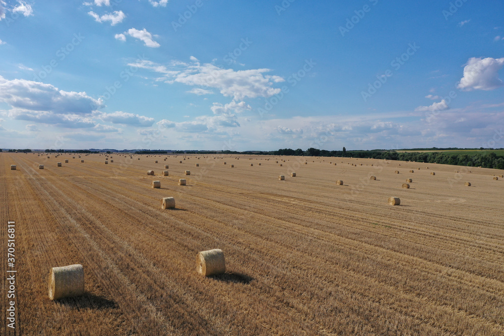 Obraz premium Agricultural field made of yellow round round big bales after harvest, straw rolls, straw bales in the agricultural field. Hay collection in the summer field. Drone photo in Úri, Hungary - 03/07/2020