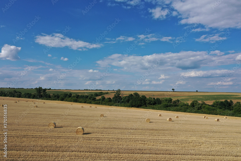 Fototapeta premium Agricultural field made of yellow round round big bales after harvest, straw rolls, straw bales in the agricultural field. Hay collection in the summer field. Drone photo in Úri, Hungary - 03/07/2020