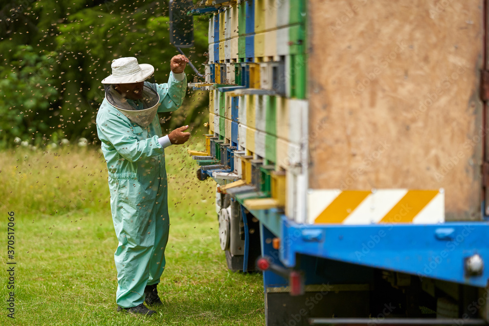Beekeeper checking his hives