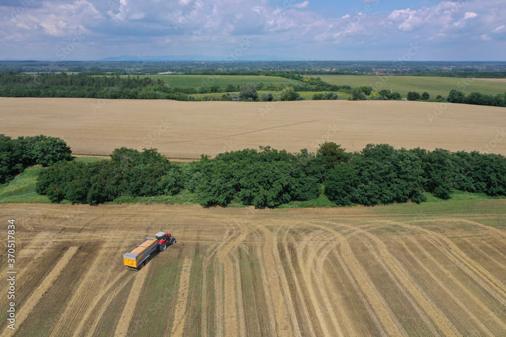 Obraz premium A tractor transports the ripe golden wheat to the grain field harvested by the combine. Agricultural work in summer. Drone recording. Úri, Hungary - 22/07/2020