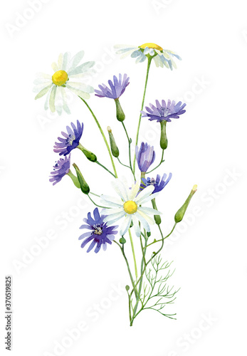 Watercolor bouquet of blue and white daisies on white background For congratulations, invitations, anniversaries, weddings, birthday