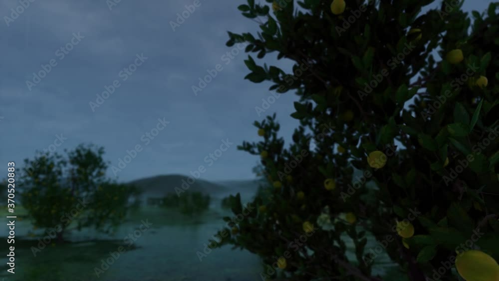 CCloudy day nature landscape Green gradient 4k CCloudy day nature landscape Green gradient 4k