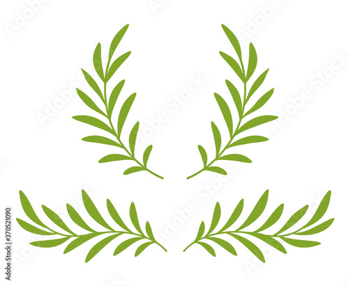 green olive branches with leaves and wreath