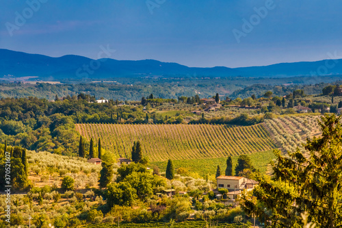 Picturesque view of a beautiful valley in San Gimignano. A typical agricultural landscape with houses, olive tree orchards and a vineyard on a nice sunny day in Tuscany, Italy.