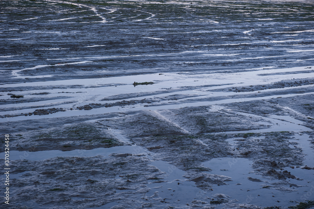 The beautiful and curious tidal mud flat. The beautiful and curious tidal mud flat.