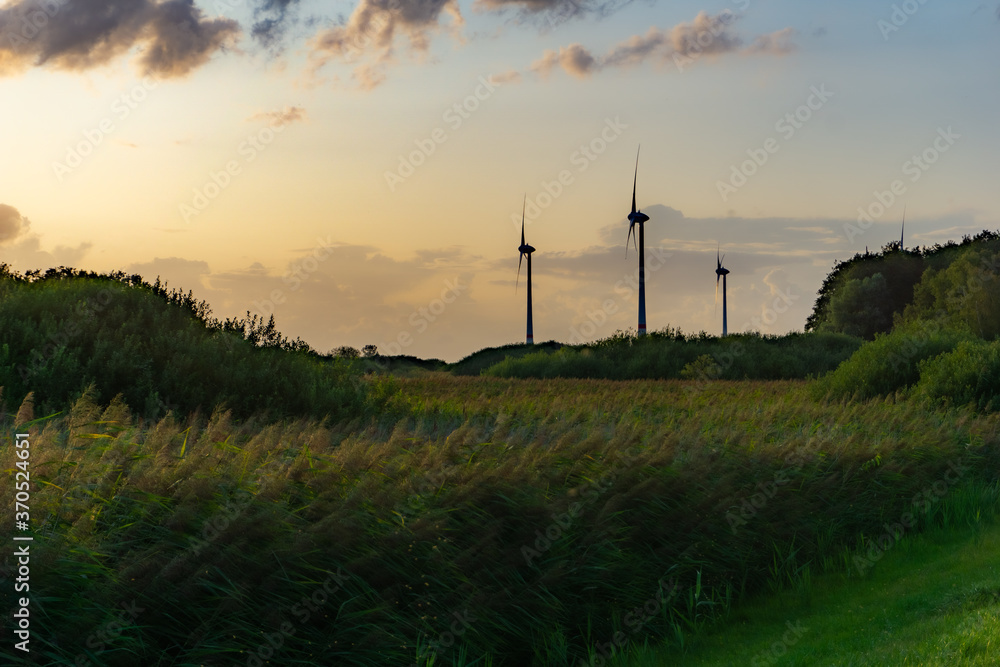 Obraz premium Windmills in Germany