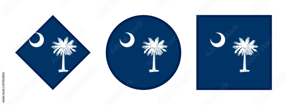 Naklejka premium south carolina flag icon set. isolated on white background 