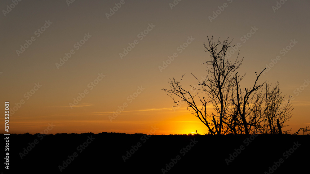 incredibly beautiful and always unique sunrise, summer