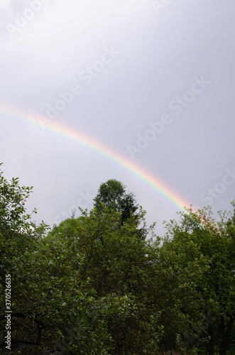 Fototapeta Naklejka Na Ścianę i Meble -  Nature rainbow forest. Burning rainbow background.