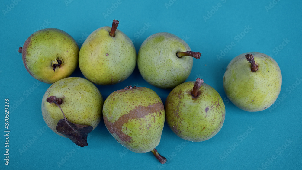 Birnen auf türkisem Hintergrund, 7 Birnen als graphisches Element für Ernte, Herbst für veganer und vegetarier, aus dem Garten auf den Tisch Birnen auf türkisem Hintergrund, 7 Birnen als graphisches Element für Ernte, Herbst für veganer und vegetarier, aus dem Garten auf den Tisch