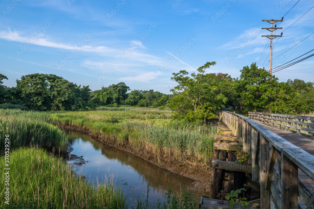 Wetland Footbridge