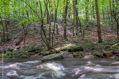 Woodlands Stream Fototapeta