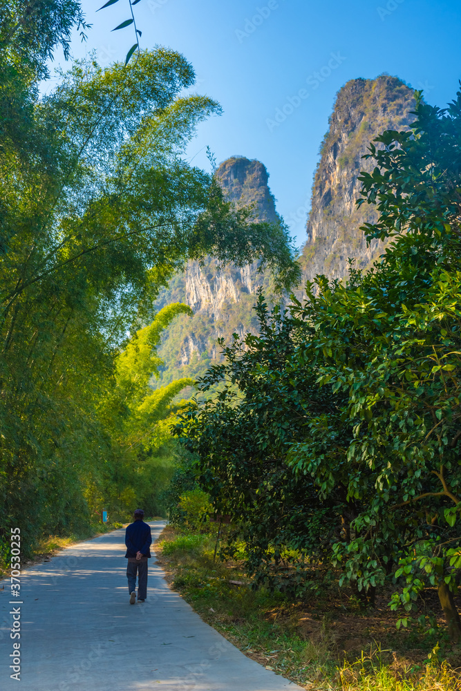 XINGPING, CHINA, 6 DECEMBER 2019: Old man walking through a bamboo forest
