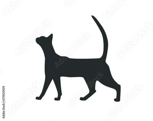 Cat icon. Walking cat vector. Cat vector design. 