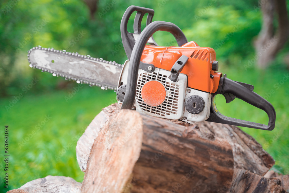 chainsaw lies on sawn logs among the greenery of the forest, selective focus blurred background