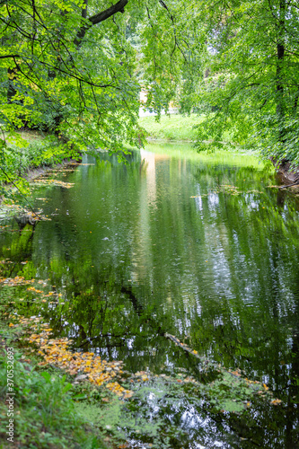 City summer park with a picturesque shady stream and greenery