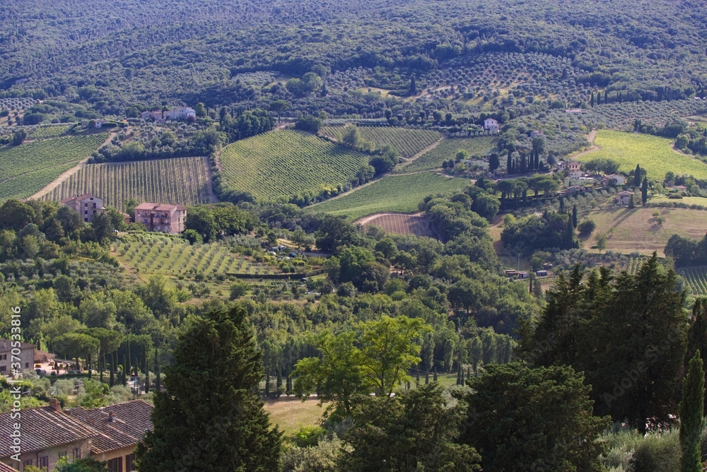 View of the panorama from the Salvucci tower of San Gimignano