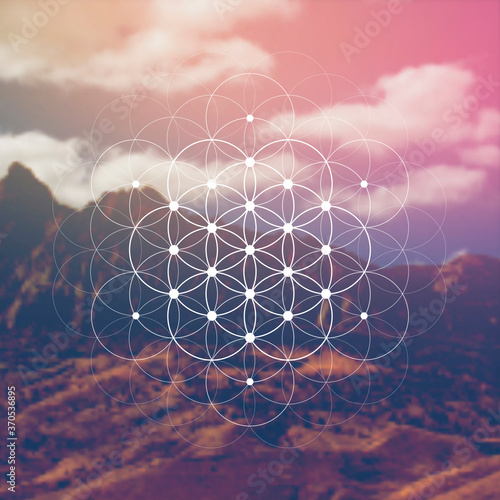 Flower of life sacred geometry illustration with intelocking circles and light dots in front of photographic background. Hipster tree of life sci fi art