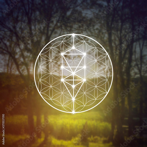 Flower of life sacred geometry illustration with intelocking circles and light dots in front of photographic background. Hipster tree of life sci fi art photo