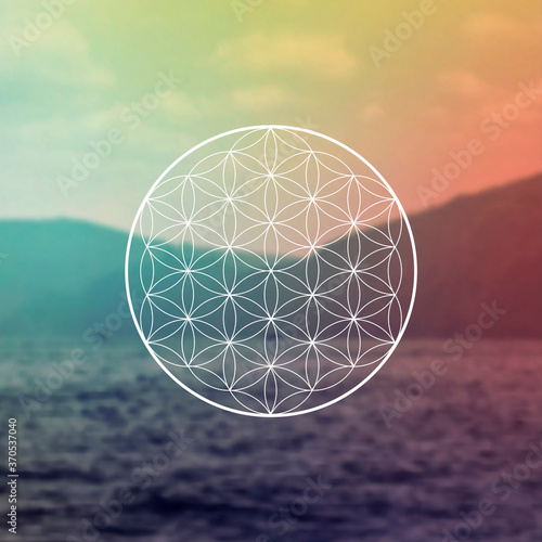 Flower of life sacred geometry illustration with intelocking circles and light dots in front of photographic background. Hipster tree of life sci fi art