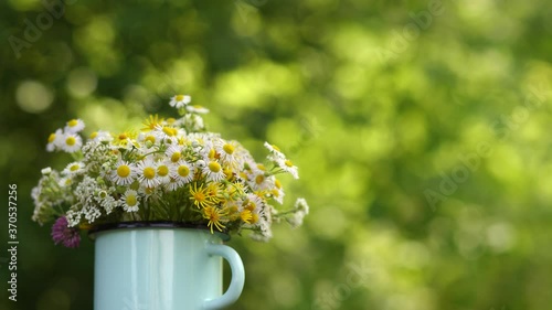 Closeup view 4k video footage of cute dufferent field flowers braided in bunch. Small white chamomile flowers inside of blue pastel metal mug isolated at green. Rural stylish minimal design concept. photo