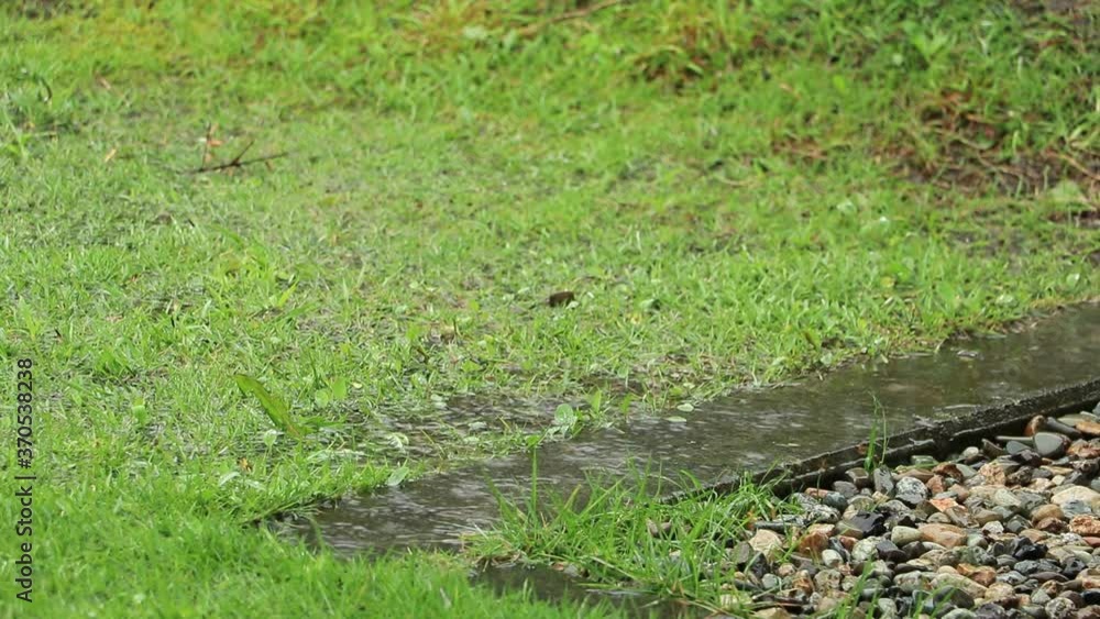 屋根から落ちる雨水 住宅 軒下 屋根から落ちる雨水 住宅 軒下